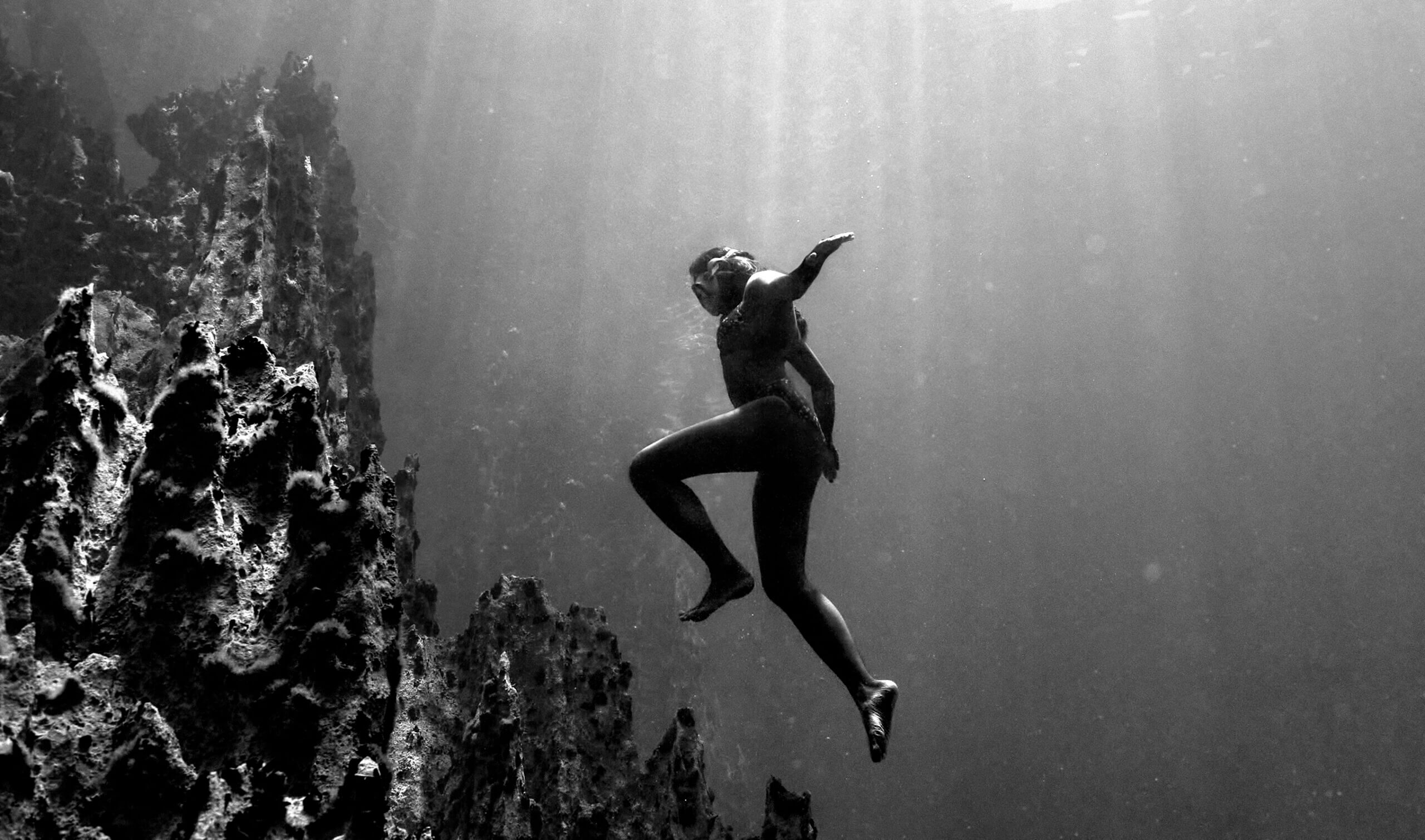 Bookings & Destinations